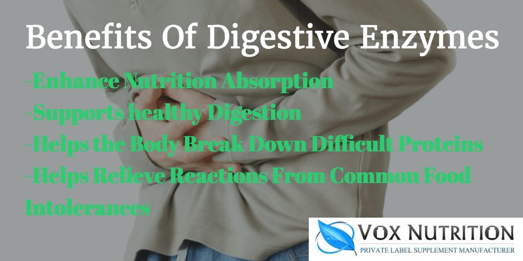 Introducing Our New Private Label Digestive Enzyme Vox Nutrition