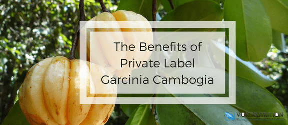 garcinia vox nutrition usa garcinia vox nutrition usa